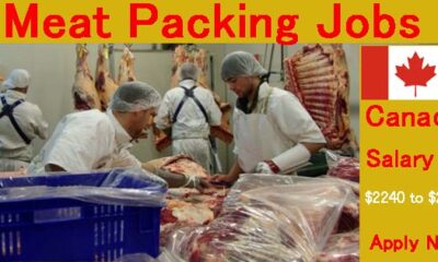 Meat Packer Jobs In Canada